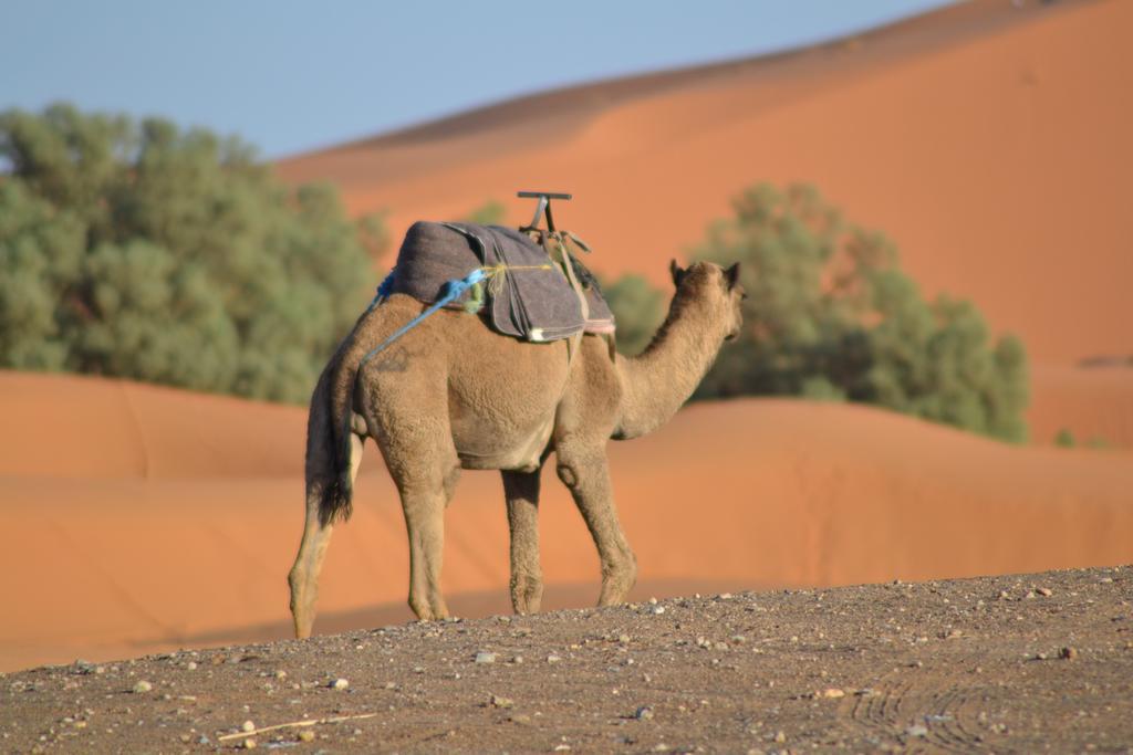 Luxury Maktoub Hotel Merzouga Eksteriør billede